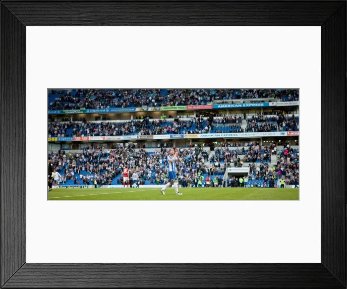 Framed Print : Brighton & Hove Albion: A Nostalgic Look Back at the 2012-13 Home Game against Barnsley Framed Print : Brighton & Hove Albion: A Nostalgic Look Back at the 2012-13 Home Game against Barnsley