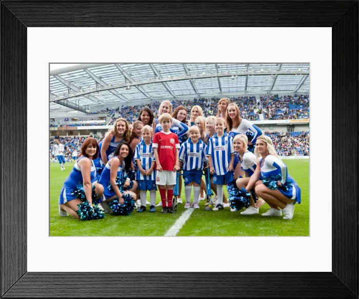 Framed Print : Brighton & Hove Albion vs Barnsley (2012-13): A Glance at a Past Home Game Framed Print : Brighton & Hove Albion vs Barnsley (2012-13): A Glance at a Past Home Game
