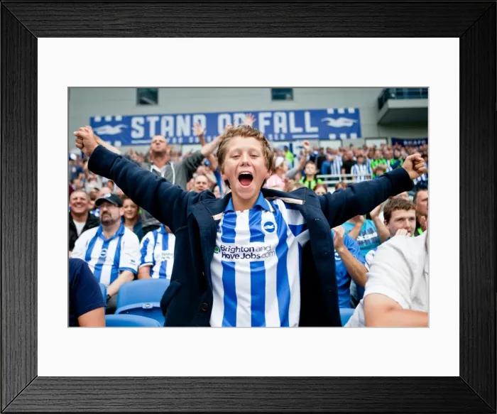 Framed Print : Electric Atmosphere at The Amex: Brighton & Hove Albion FC Crowd Shots (2012-2013) Framed Print : Electric Atmosphere at The Amex: Brighton & Hove Albion FC Crowd Shots (2012-2013)