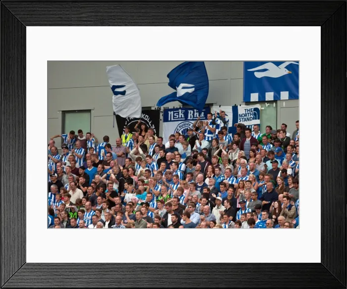 Framed Print : Brighton & Hove Albion vs. Barnsley (2012-13): Home Game - August 25, 2012