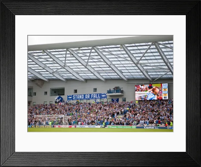Framed Print : Brighton & Hove Albion vs Barnsley: 2012-13 Home Game Framed Print : Brighton & Hove Albion vs Barnsley: 2012-13 Home Game