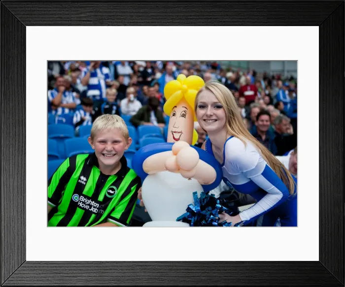 Framed Print : Brighton & Hove Albion vs. Barnsley (2012-13): A Home Game Battle (25-08-2012) Framed Print : Brighton & Hove Albion vs. Barnsley (2012-13): A Home Game Battle (25-08-2012)