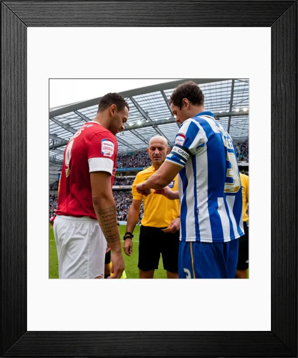 Framed Print : Brighton & Hove Albion vs Barnsley: 2012-13 Home Game Framed Print : Brighton & Hove Albion vs Barnsley: 2012-13 Home Game