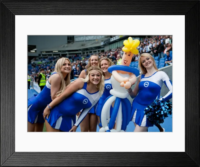 Framed Print : Brighton & Hove Albion vs Barnsley (2012-13): A Home Game - 25-08-2012