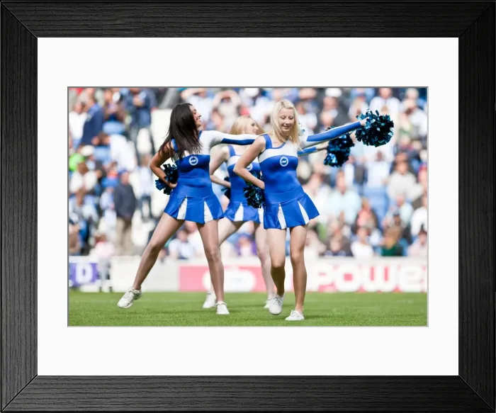 Framed Print : Brighton & Hove Albion vs Barnsley (2012-13): A Home Game Framed Print : Brighton & Hove Albion vs Barnsley (2012-13): A Home Game