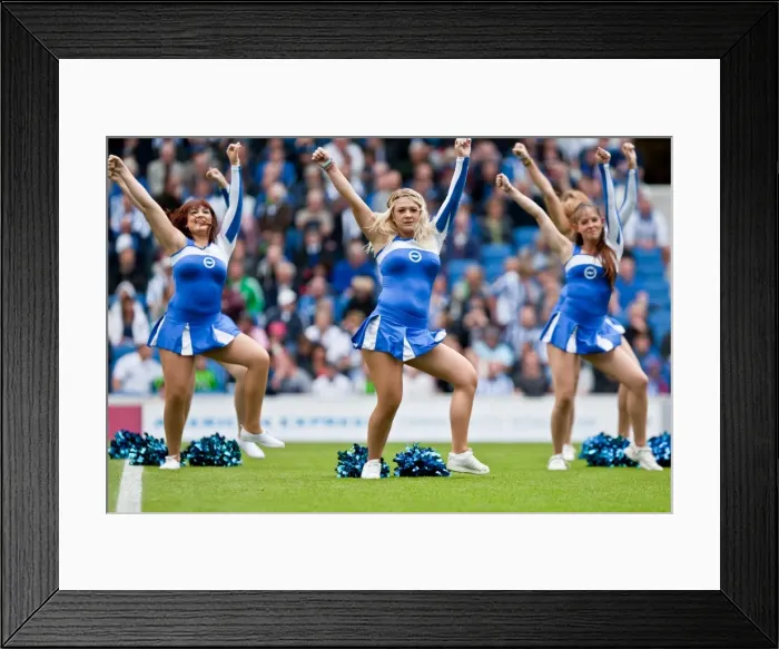 Framed Print : Brighton & Hove Albion vs Barnsley (2012-13 Season): August 25th Home Game Framed Print : Brighton & Hove Albion vs Barnsley (2012-13 Season): August 25th Home Game