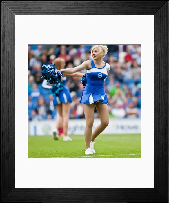Framed Print : Brighton & Hove Albion vs Barnsley (2012-13): A Home Game - August 25th Framed Print : Brighton & Hove Albion vs Barnsley (2012-13): A Home Game - August 25th