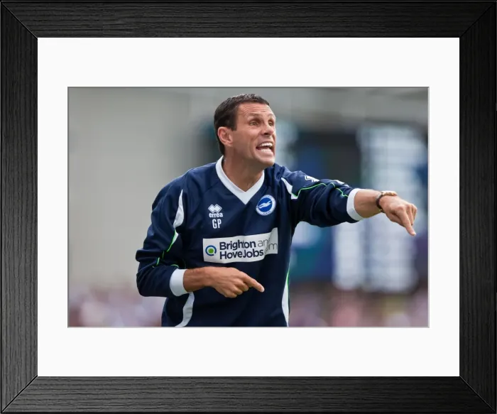 Framed Print : Brighton & Hove Albion vs. Barnsley (2012-13 Season): Home Game Highlights Framed Print : Brighton & Hove Albion vs. Barnsley (2012-13 Season): Home Game Highlights