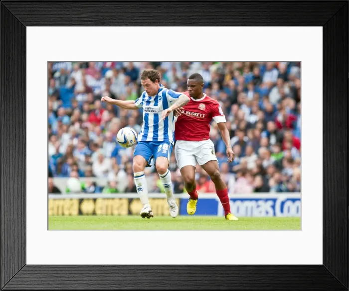 Framed Print : Brighton & Hove Albion vs Barnsley (2012-13): A Home Game - August 25, 2012 Framed Print : Brighton & Hove Albion vs Barnsley (2012-13): A Home Game - August 25, 2012