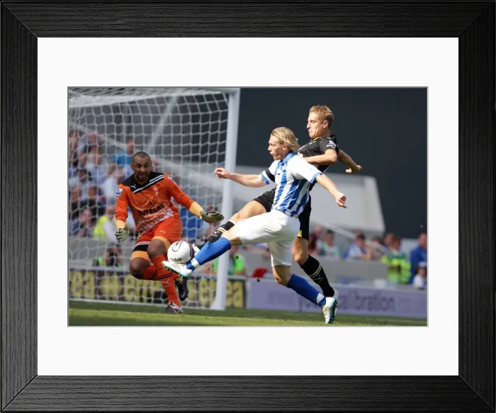 Framed Print : Brighton & Hove Albion 2011-12 Home Matches: Spurs and Doncaster Framed Print : Brighton & Hove Albion 2011-12 Home Matches: Spurs and Doncaster