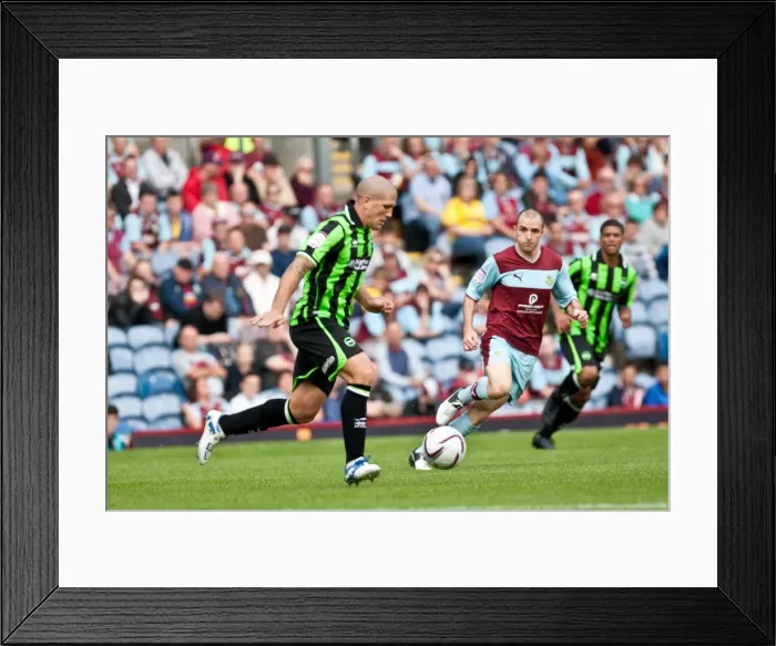 Framed Print : Brighton & Hove Albion vs. Burnley - 01-09-2012: Away Game from the 2012-13 Season Framed Print : Brighton & Hove Albion vs. Burnley - 01-09-2012: Away Game from the 2012-13 Season