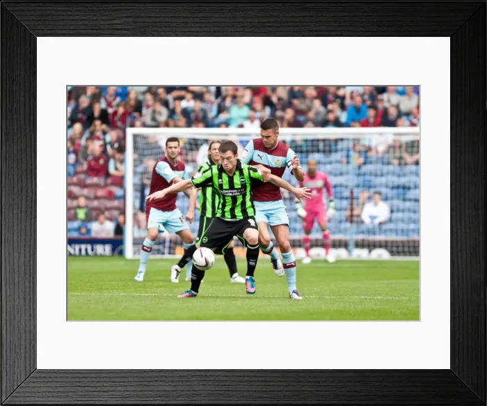 Framed Print : Brighton & Hove Albion vs. Burnley (Away) - September 1, 2012: A Look Back at the Past Game