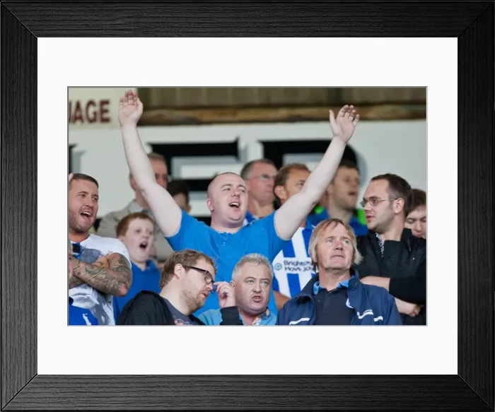 Framed Print : Sea of Supporters: Brighton and Hove Albion FC Away Days 2012-13 Framed Print : Sea of Supporters: Brighton and Hove Albion FC Away Days 2012-13