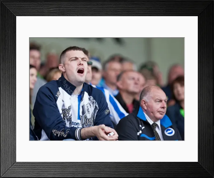 Framed Print : Sea of Supporters: Brighton & Hove Albion Away Games 2011-12 Framed Print : Sea of Supporters: Brighton & Hove Albion Away Games 2011-12