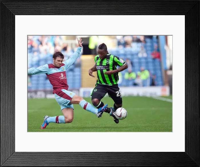 Framed Print : Brighton & Hove Albion vs. Burnley: 2012-13 Season - Away Game Highlights Framed Print : Brighton & Hove Albion vs. Burnley: 2012-13 Season - Away Game Highlights