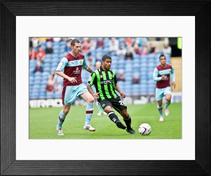 Framed Print : Brighton & Hove Albion vs. Burnley (Away) - September 1, 2012: A Look Back at the 2012-13 Season Game Framed Print : Brighton & Hove Albion vs. Burnley (Away) - September 1, 2012: A Look Back at the 2012-13 Season Game