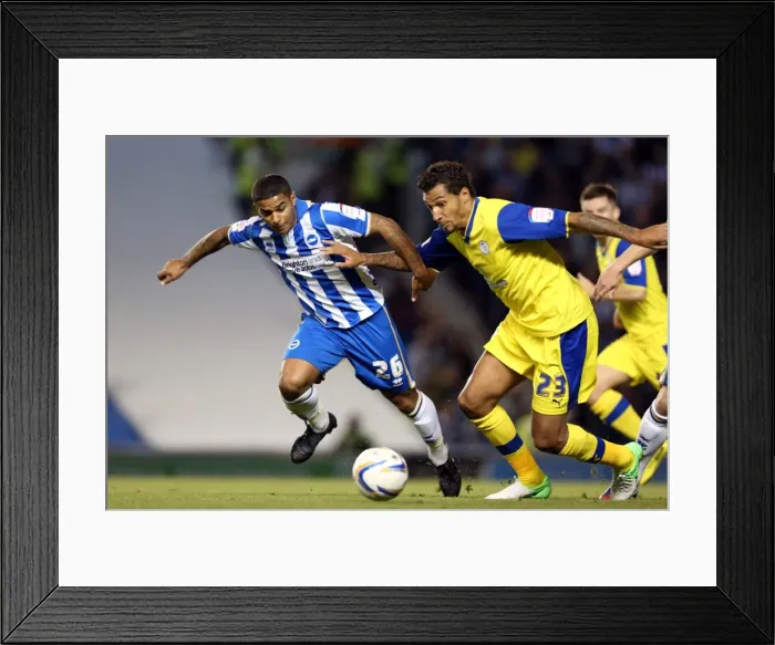 Framed Print : September Showdown: Liam Bridcutt's Unforgettable Performance in Brighton & Hove Albion vs Sheffield Wednesday, 2012 Framed Print : September Showdown: Liam Bridcutt's Unforgettable Performance in Brighton & Hove Albion vs Sheffield Wednesday, 2012