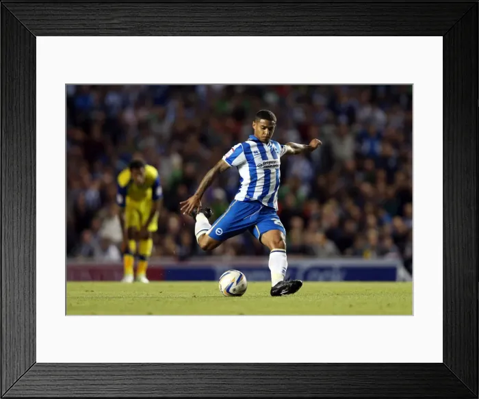 Framed Print : Brighton & Hove Albion vs. Sheffield Wednesday (2012-13 Season): Home Game Framed Print : Brighton & Hove Albion vs. Sheffield Wednesday (2012-13 Season): Home Game