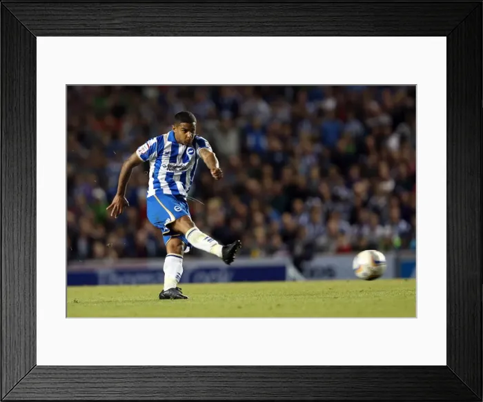 Framed Print : Brighton & Hove Albion vs. Sheffield Wednesday (2012-13 Season) - A Past Home Game Framed Print : Brighton & Hove Albion vs. Sheffield Wednesday (2012-13 Season) - A Past Home Game