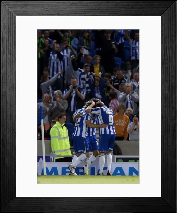 Framed Print : Brighton & Hove Albion vs. Sheffield Wednesday: A Look Back at the Historic 2012-13 Home Game Framed Print : Brighton & Hove Albion vs. Sheffield Wednesday: A Look Back at the Historic 2012-13 Home Game
