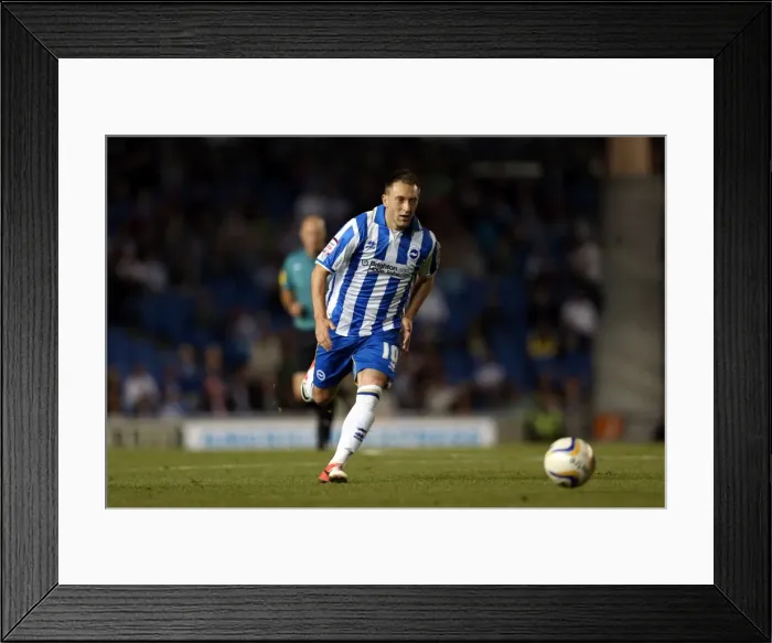 Framed Print : Brighton & Hove Albion vs. Sheffield Wednesday: Revisiting the Thrills of the 14-09-2012 Home Game Framed Print : Brighton & Hove Albion vs. Sheffield Wednesday: Revisiting the Thrills of the 14-09-2012 Home Game