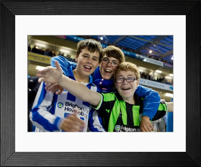 Framed Print : Brighton and Hove Albion: Electric Atmosphere - Unforgettable Crowd Moments at The Amex Stadium (2012-13) Framed Print : Brighton and Hove Albion: Electric Atmosphere - Unforgettable Crowd Moments at The Amex Stadium (2012-13)