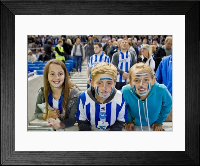 Framed Print : Seaside Passion: Crowd Fever at Brighton & Hove Albion's Amex Stadium (2012-2013)
