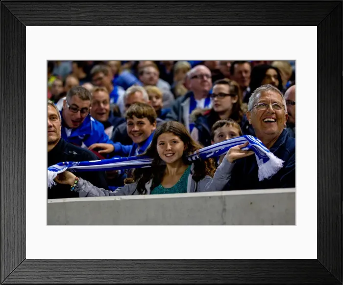 Framed Print : Brighton & Hove Albion: The Electric Amex Stadium Crowd (2012-2013) Framed Print : Brighton & Hove Albion: The Electric Amex Stadium Crowd (2012-2013)