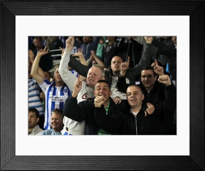 Framed Print : Brighton & Hove Albion: Electrifying Crowd Moments at The Amex (2012-2013) Framed Print : Brighton & Hove Albion: Electrifying Crowd Moments at The Amex (2012-2013)