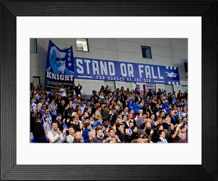 Framed Print : Brighton & Hove Albion: 2012-13 Home Game - Sheffield Wednesday (September 14, 2012) Framed Print : Brighton & Hove Albion: 2012-13 Home Game - Sheffield Wednesday (September 14, 2012)