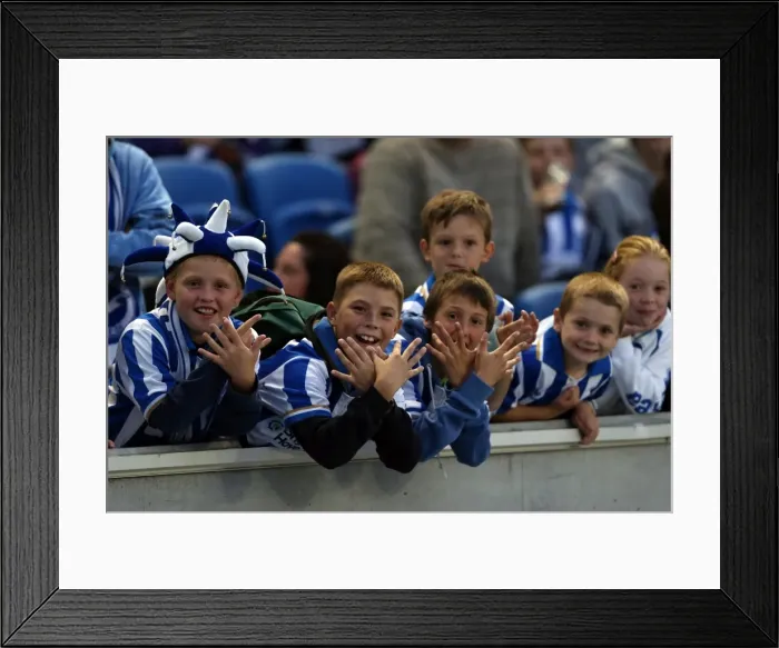 Framed Print : Brighton & Hove Albion: Electric Atmosphere - The Amex Stadium Crowd Shots (2012-2013) Framed Print : Brighton & Hove Albion: Electric Atmosphere - The Amex Stadium Crowd Shots (2012-2013)