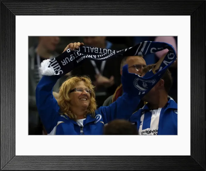Framed Print : Brighton & Hove Albion: A Nostalgic Look Back at the 2012-13 Home Game vs. Sheffield Wednesday Framed Print : Brighton & Hove Albion: A Nostalgic Look Back at the 2012-13 Home Game vs. Sheffield Wednesday