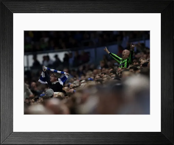 Framed Print : Brighton & Hove Albion vs. Sheffield Wednesday (2012-13): A Peek at the Home Game on September 14, 2012 Framed Print : Brighton & Hove Albion vs. Sheffield Wednesday (2012-13): A Peek at the Home Game on September 14, 2012