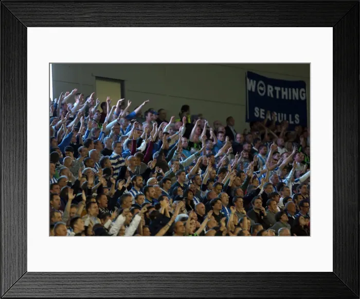 Framed Print : Brighton & Hove Albion vs. Sheffield Wednesday (2012-13): A Nostalgic Look Back at an Exciting Home Game Framed Print : Brighton & Hove Albion vs. Sheffield Wednesday (2012-13): A Nostalgic Look Back at an Exciting Home Game