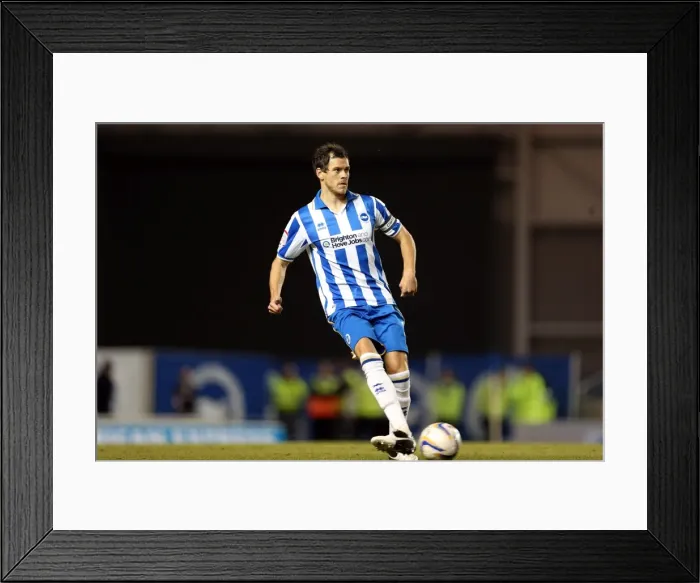 Framed Print : Brighton & Hove Albion vs. Sheffield Wednesday (2012-13) - Home Game Highlights: September 14 Framed Print : Brighton & Hove Albion vs. Sheffield Wednesday (2012-13) - Home Game Highlights: September 14