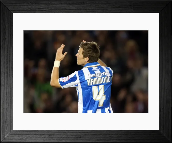 Framed Print : Brighton & Hove Albion: Nostalgic Home Game Review - Sheffield Wednesday (September 14, 2012) Framed Print : Brighton & Hove Albion: Nostalgic Home Game Review - Sheffield Wednesday (September 14, 2012)