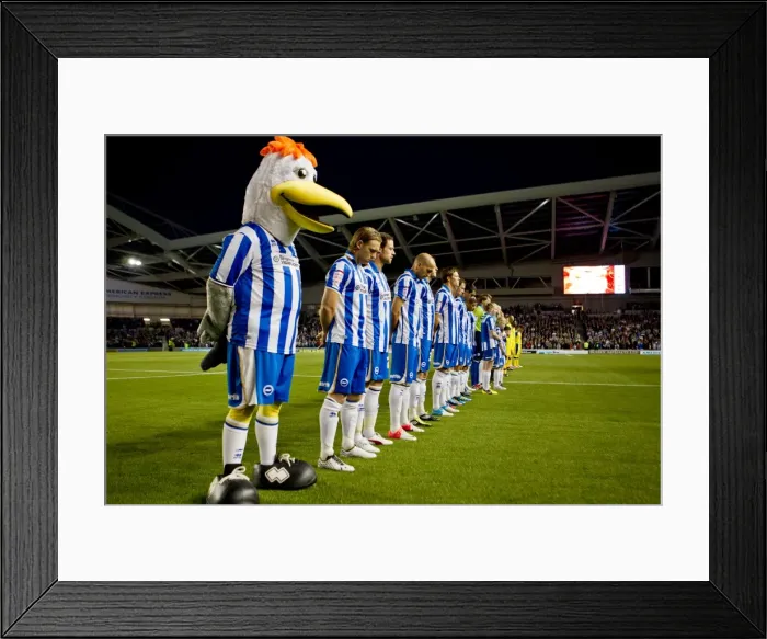 Framed Print : Brighton & Hove Albion vs. Sheffield Wednesday: A Memorable Home Game (September 14, 2012, 2012-13 Season) Framed Print : Brighton & Hove Albion vs. Sheffield Wednesday: A Memorable Home Game (September 14, 2012, 2012-13 Season)