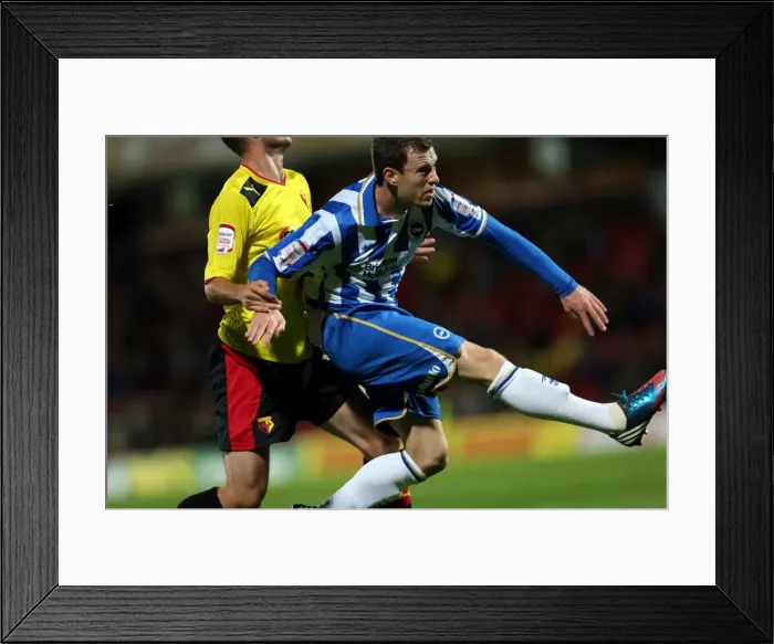 Framed Print : Brighton & Hove Albion vs. Watford: 2012-13 Season Away Game Highlights (18-09-2012) Framed Print : Brighton & Hove Albion vs. Watford: 2012-13 Season Away Game Highlights (18-09-2012)