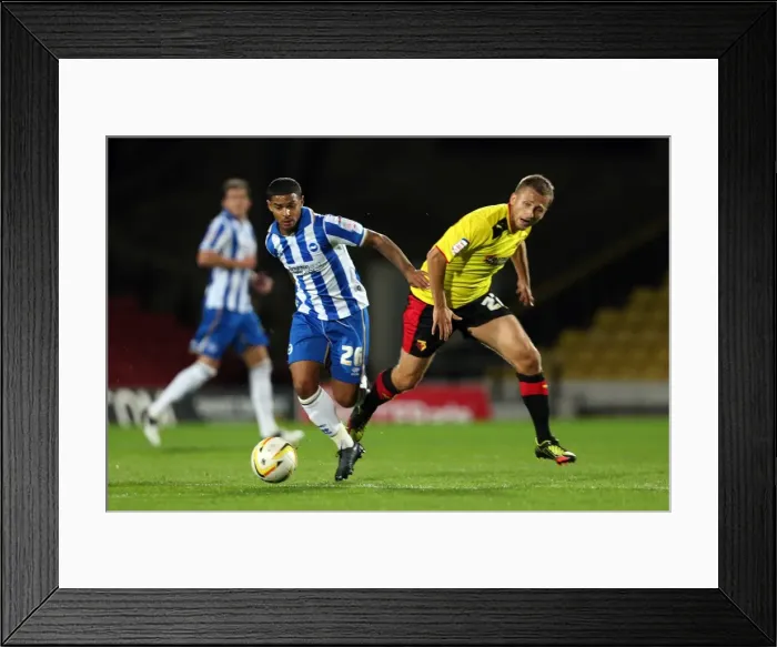 Framed Print : Brighton & Hove Albion Away at Watford - 2012-13 Season Framed Print : Brighton & Hove Albion Away at Watford - 2012-13 Season