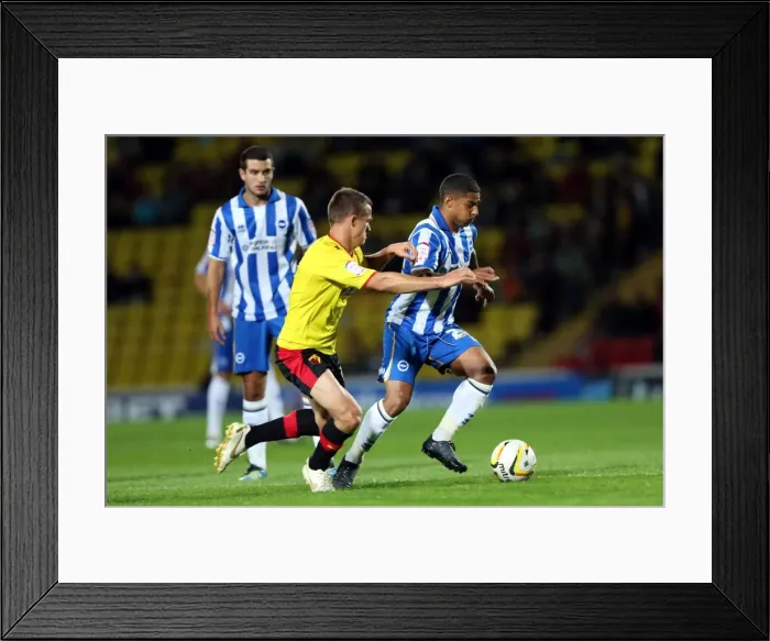 Framed Print : Brighton & Hove Albion vs. Watford (Away) - 18-09-2012: 2012-13 Season Framed Print : Brighton & Hove Albion vs. Watford (Away) - 18-09-2012: 2012-13 Season