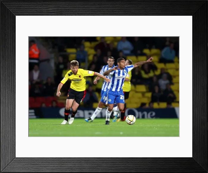 Framed Print : Brighton & Hove Albion vs. Watford (Away) - 18-09-2012: 2012-13 Season Framed Print : Brighton & Hove Albion vs. Watford (Away) - 18-09-2012: 2012-13 Season