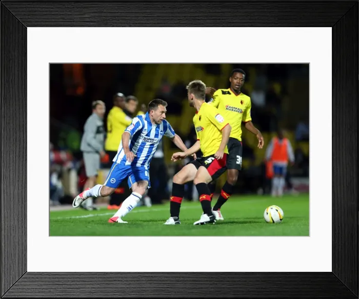 Framed Print : Brighton & Hove Albion vs. Watford (Away) - 18-09-2012: 2012-13 Season Framed Print : Brighton & Hove Albion vs. Watford (Away) - 18-09-2012: 2012-13 Season