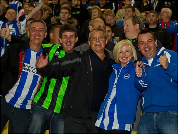 Sea of Supporters: Brighton & Hove Albion Away Games 2012-13