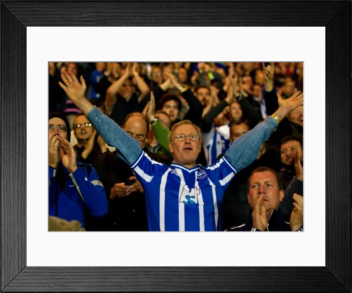 Framed Print : Sea of Supporters: Brighton & Hove Albion Away Games 2012-13 Framed Print : Sea of Supporters: Brighton & Hove Albion Away Games 2012-13