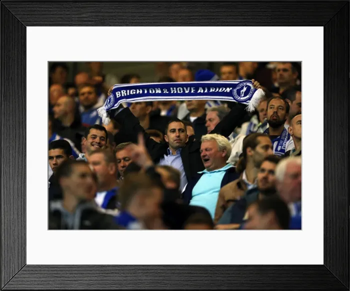 Framed Print : Brighton & Hove Albion vs. Watford: 2012-13 Away Game Framed Print : Brighton & Hove Albion vs. Watford: 2012-13 Away Game