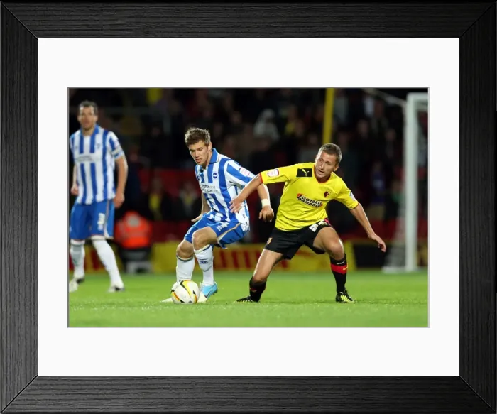 Framed Print : Brighton & Hove Albion at Watford (Away): 2012-13 Season - Game Highlights (September 18) Framed Print : Brighton & Hove Albion at Watford (Away): 2012-13 Season - Game Highlights (September 18)
