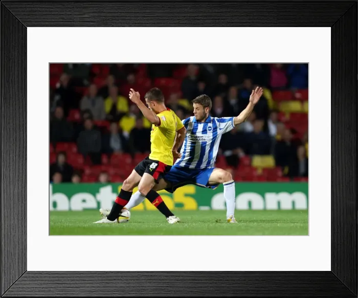 Framed Print : Brighton & Hove Albion Away Game at Watford (2012-13 Season): 18-09-2012 Framed Print : Brighton & Hove Albion Away Game at Watford (2012-13 Season): 18-09-2012