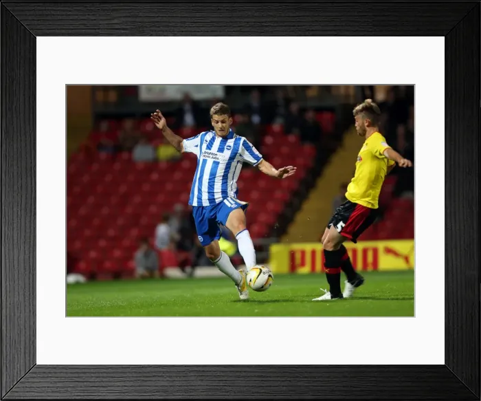 Framed Print : Brighton & Hove Albion at Watford: 2012-13 Season Away Game Highlights Framed Print : Brighton & Hove Albion at Watford: 2012-13 Season Away Game Highlights
