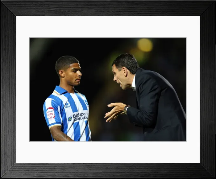 Framed Print : A Fight in Football History: Brighton & Hove Albion vs. Watford (September 18, 2012) Framed Print : A Fight in Football History: Brighton & Hove Albion vs. Watford (September 18, 2012)