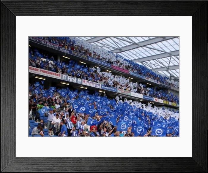 Framed Print : Brighton & Hove Albion 2011-12 Home Matches: Spurs and Doncaster Framed Print : Brighton & Hove Albion 2011-12 Home Matches: Spurs and Doncaster